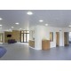 Gypsum Based Boards