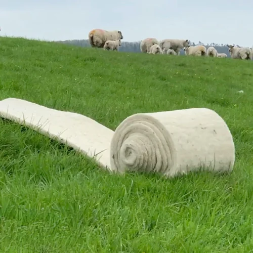 Roll of green, eco-friendly natural insulation unrolled on grass.