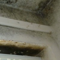 Fighting Mould Growth with Insulation