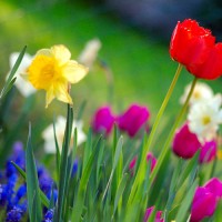 Does Spring Affect the Necessity for Insulation