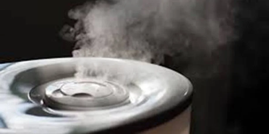 Humidifier device releasing mist into the air