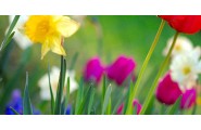 Does Spring Affect the Necessity for Insulation