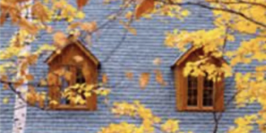Birdhouses mounted on a wall surrounded by yellow autumn leaves