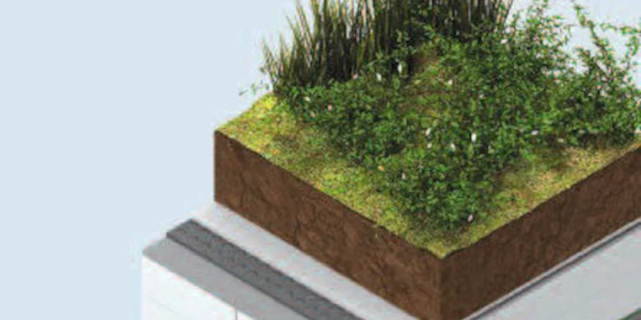 Cross-section diagram showing layers of a green roof system