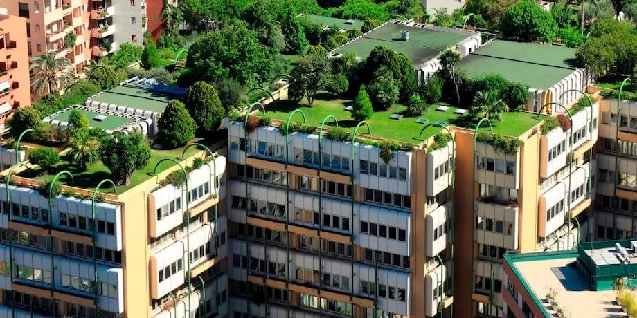 High-angle view of a city building featuring a rooftop garden
