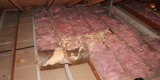 Attic space with pink insulation rolls laid between floor joists