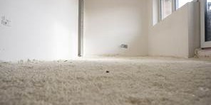 Interior view of a room with a bare concrete floor