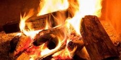 Close-up of burning logs in a fireplace