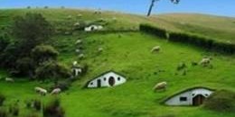 Green "Hobbit-style" earth homes built into a hillside