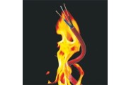 Fire Resistance of External Wall Insulation Systems