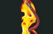 Fire Resistance of External Wall Insulation Systems