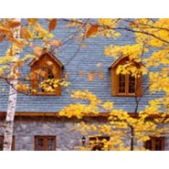 Get Ready for the Fall with Energy Saving and Insulation Tips