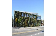 Going Green with Home Insulation