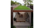 Your Guide to Green Roofs 