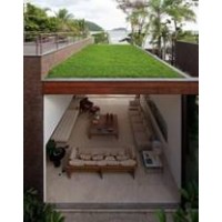 Your Guide to Green Roofs 