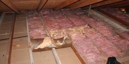 Attic space containing pink insulation and some debris