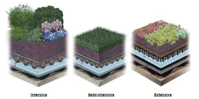 3D cross-section diagrams showing layers of a green roof system