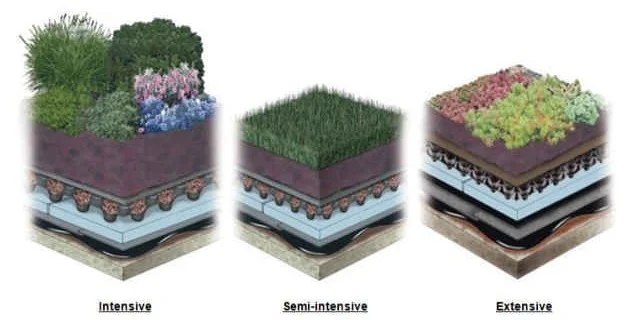 3D cross-section diagrams showing layers of a green roof system