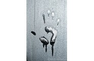 Basic Ways of Fixing Condensation Problems