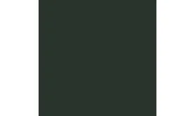 RAL6009 Fir green 