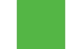 RAL6038 Luminous green 