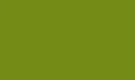 RAL 95 50 50 