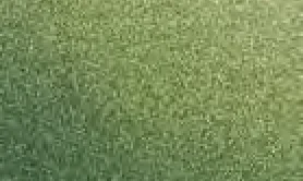 Arbari 