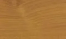 Teak 