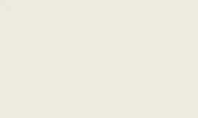 RAL 080 80 05 (S) 