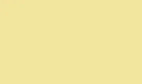 RAL 100 90 50 