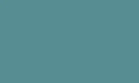 RAL 220 60 10 