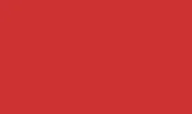 RAL 3028 