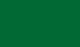RAL 6001 