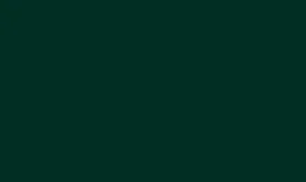 RAL 6009 (S) 