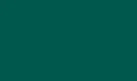 RAL 6028 