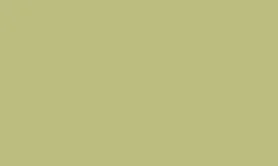 RAL 1000 - Green beige 