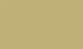 RAL 1001 - Beige 