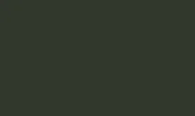 RAL 6009 