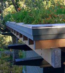 Biodiverse Sky Garden