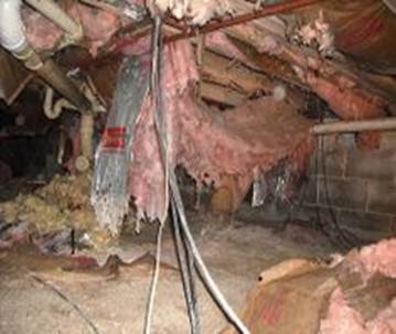 Crawlspace Insulation Review