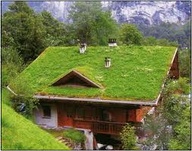 Extensive Roof System