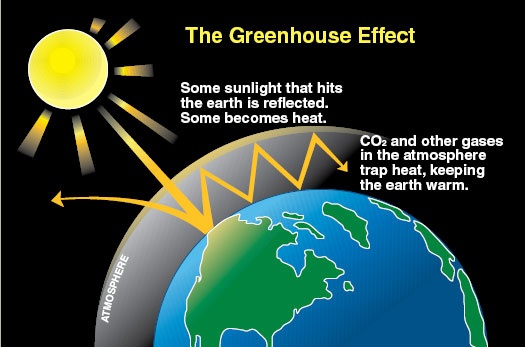 Eco-friendly insulation materials