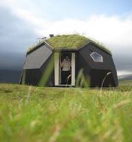 Vegetated Roof Example 3