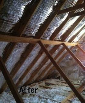 Loft Insulation