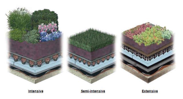 Different types of green roof