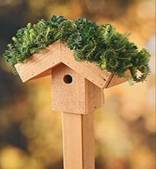 Your Guide to Hobbit-Like Green Roofs